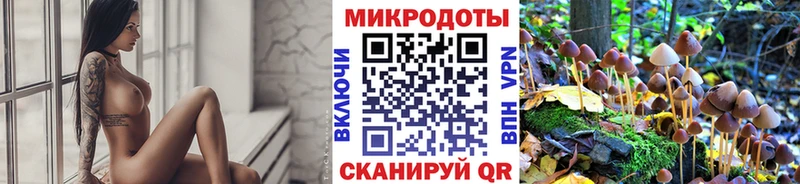 Галлюциногенные грибы мухоморы  Новошахтинск 