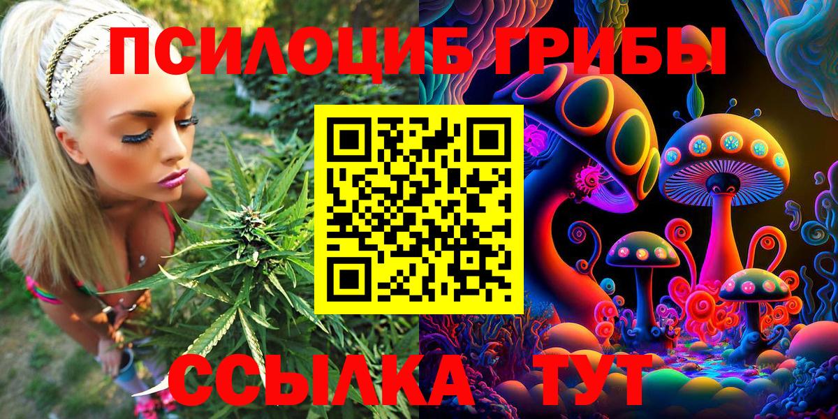 Галлюциногенные грибы мицелий Новошахтинск