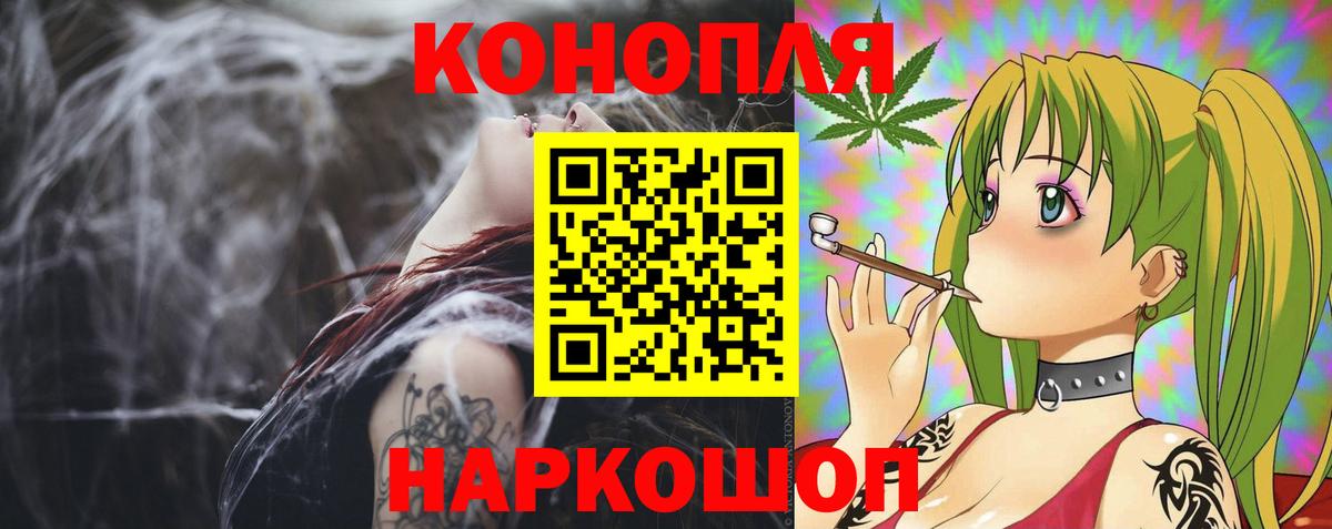 Канабис сатива Новошахтинск